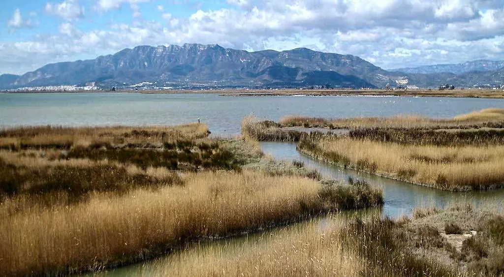 Mi Apartamento En El Delta Del Ebro Deltebre