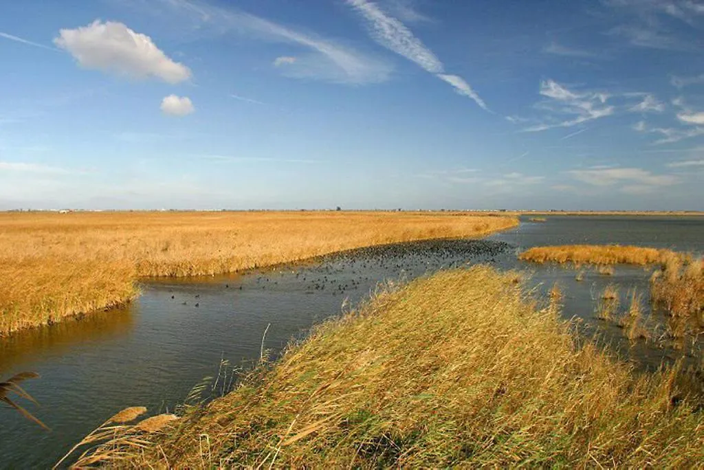 Mi Apartamento En El Delta Del Ebro Deltebre