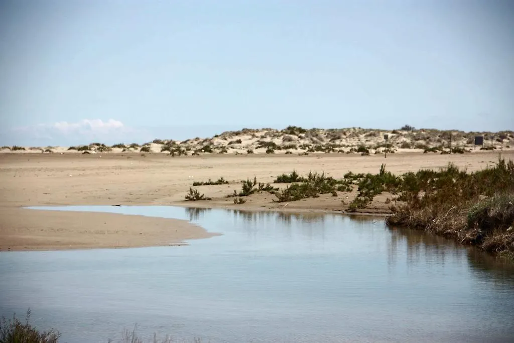 Mi Apartamento En El Delta Del Ebro Deltebre Spain