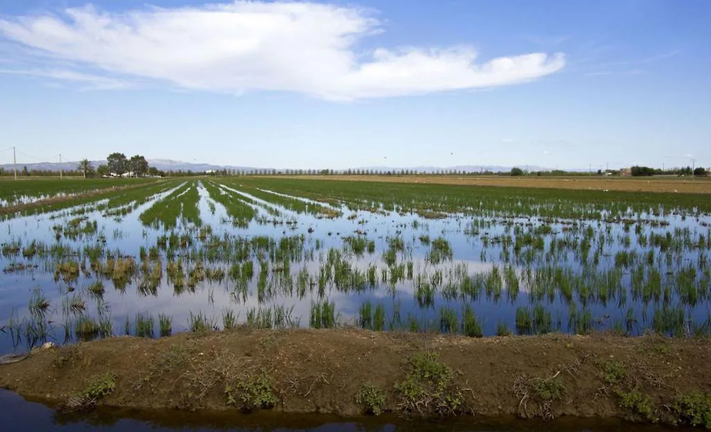 Mi Apartamento En El Delta Del Ebro Deltebre