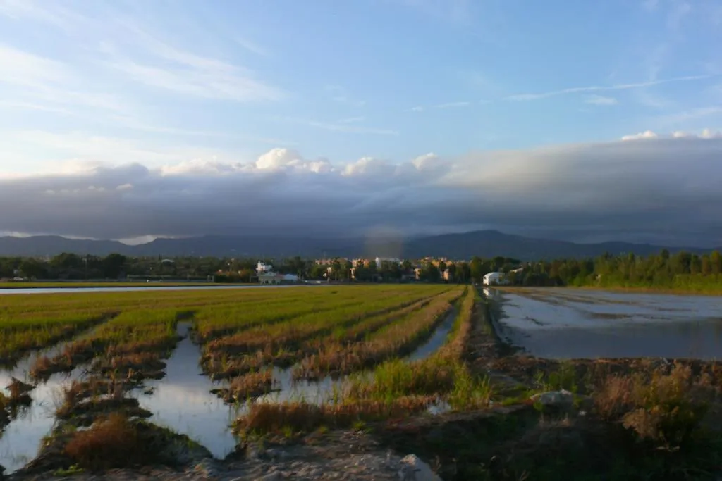 Mi Apartamento En El Delta Del Ebro Deltebre 0*,  Spain