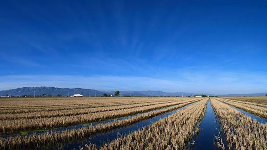 Mi Apartamento En El Delta Del Ebro Deltebre Apartment